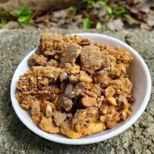 Baume de Benjoin pur pour encens artisanal – Résine Laos