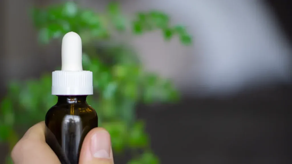 Huile essentielle d’encens oliban : propriétés, bienfaits et utilisations
